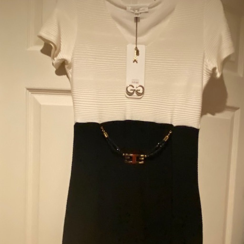 Brand New Waggon Paris Dress